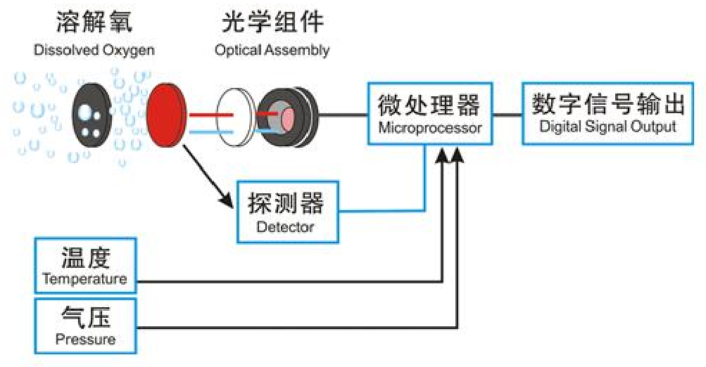 溶解氧传感器原理