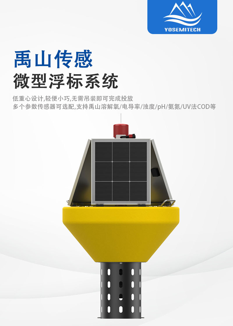 微型浮标系统