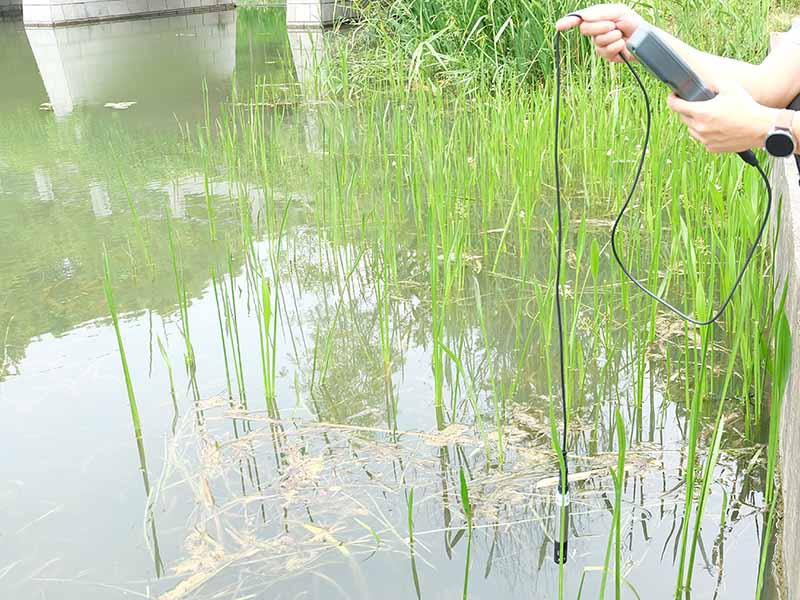 手持溶氧仪